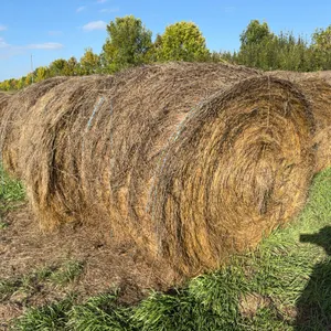 6- ALFALFA BALES