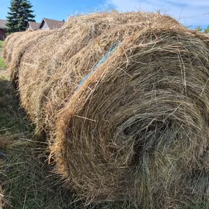 6- ALFALFA BALES