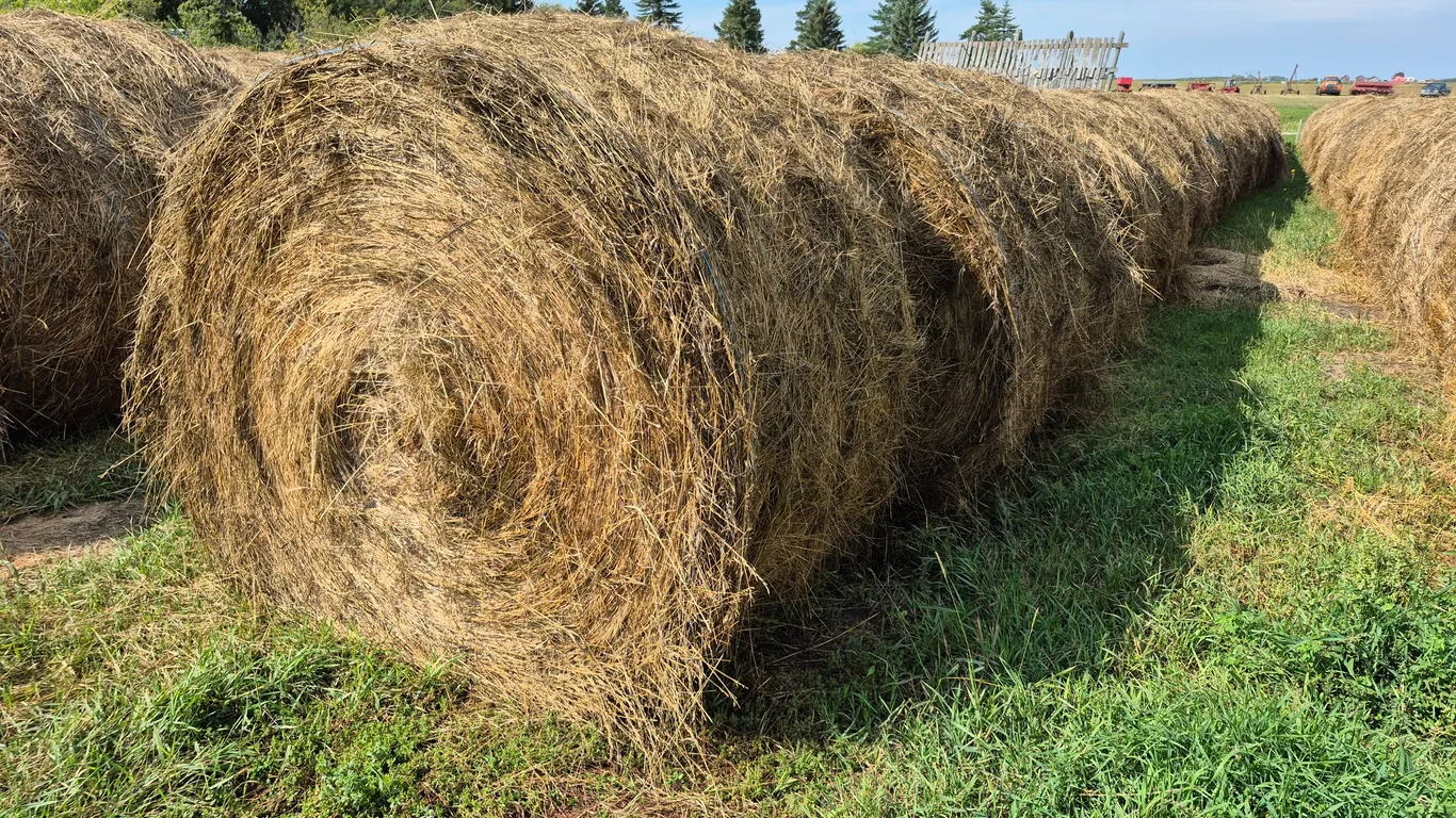 4- ALFALFA BALES
