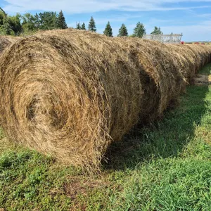 4- ALFALFA BALES
