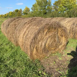 4- ALFALFA BALES