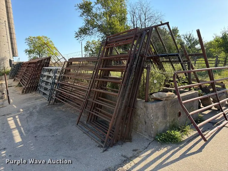 Approximately 5 livestock panels