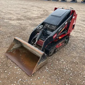 2019 Toro Dingo
