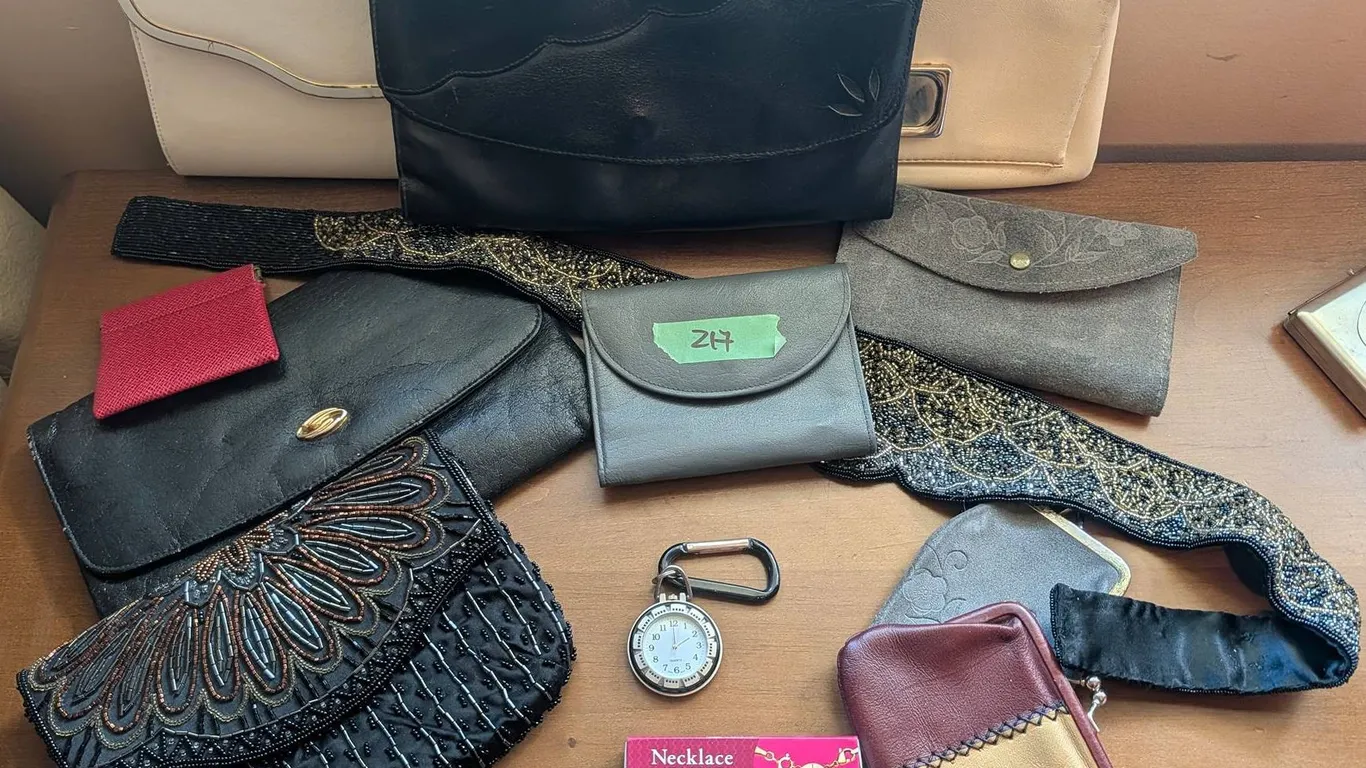 Handbags, Wallets, Purses, and Accessories