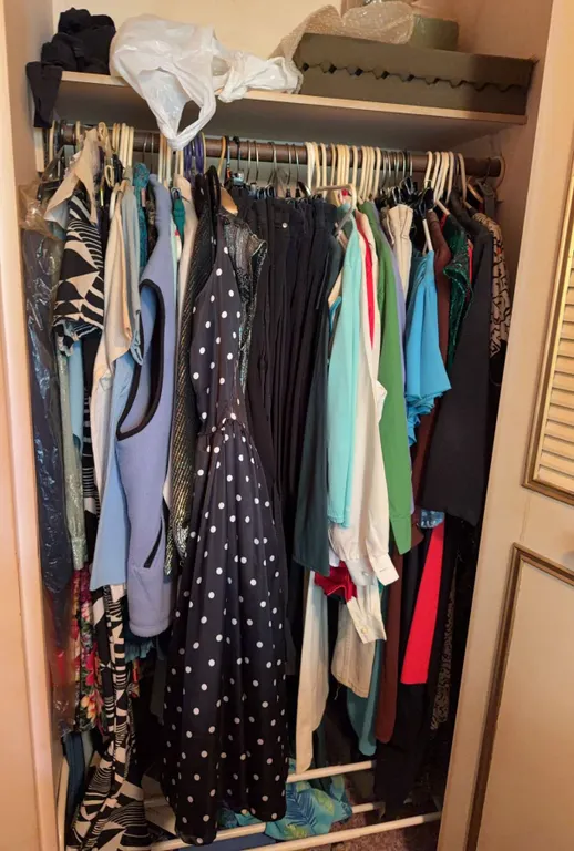 Women's Clothing, Shoes, and Accessories – Contents of Closets