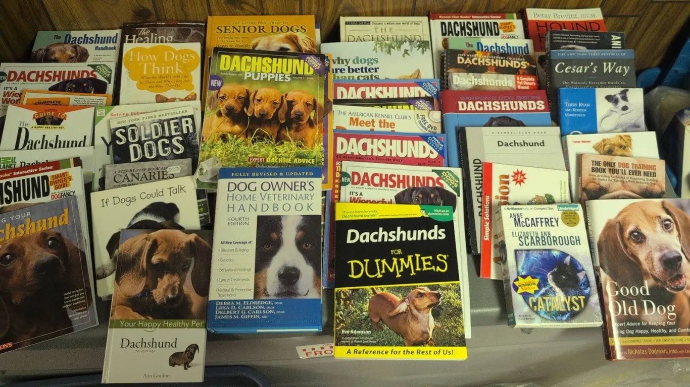 Dachshund Book Collection and Fabric Banner Lot