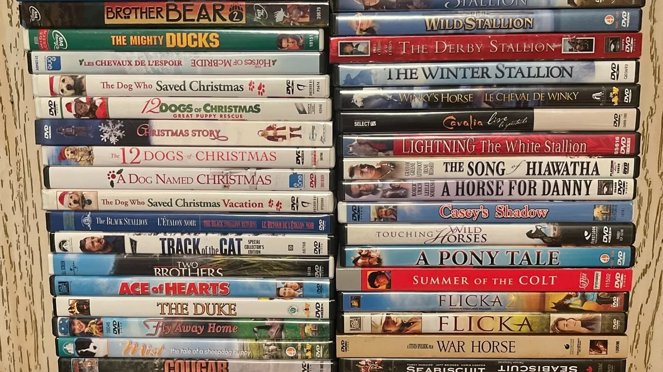 Family and Horse-Themed DVDs, Includes Disney and Harry Potter