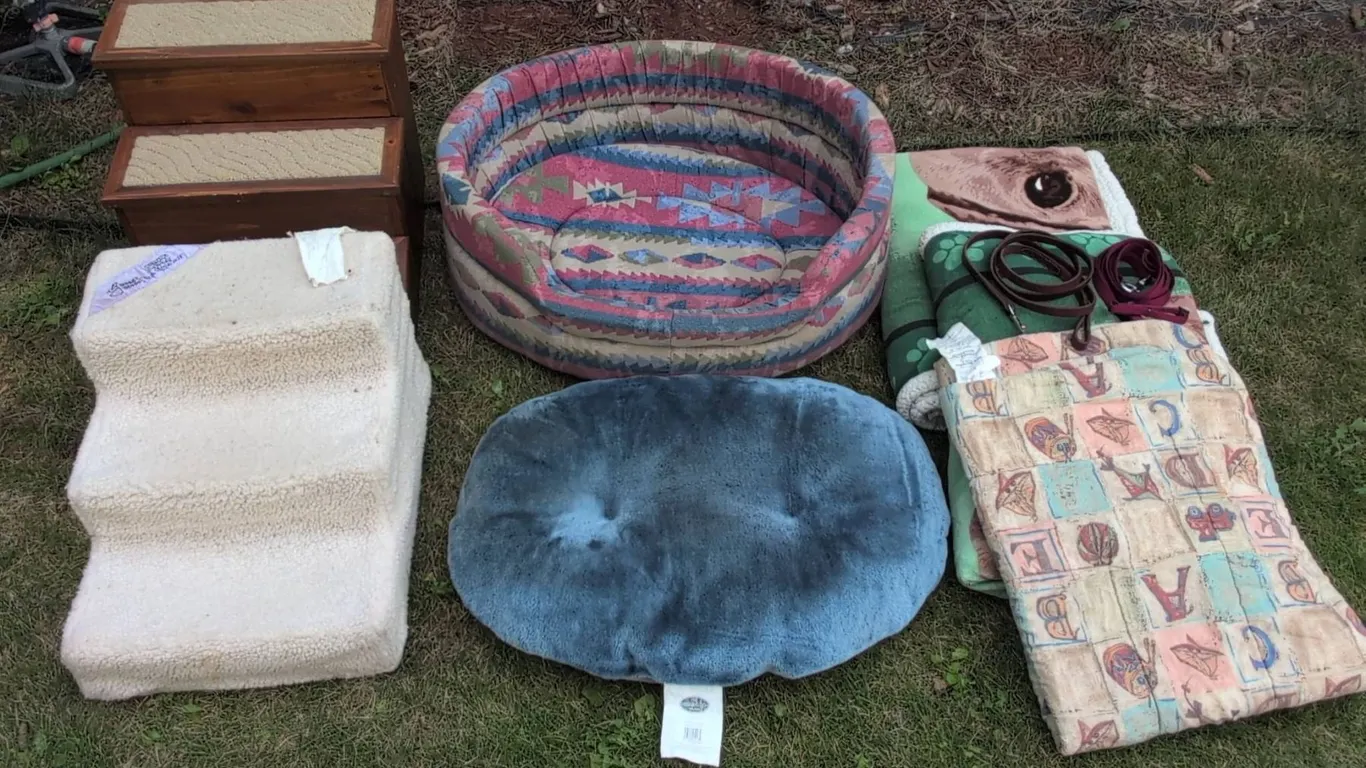Pet Accessories With Beds, Steps, Leashes, and Blankets