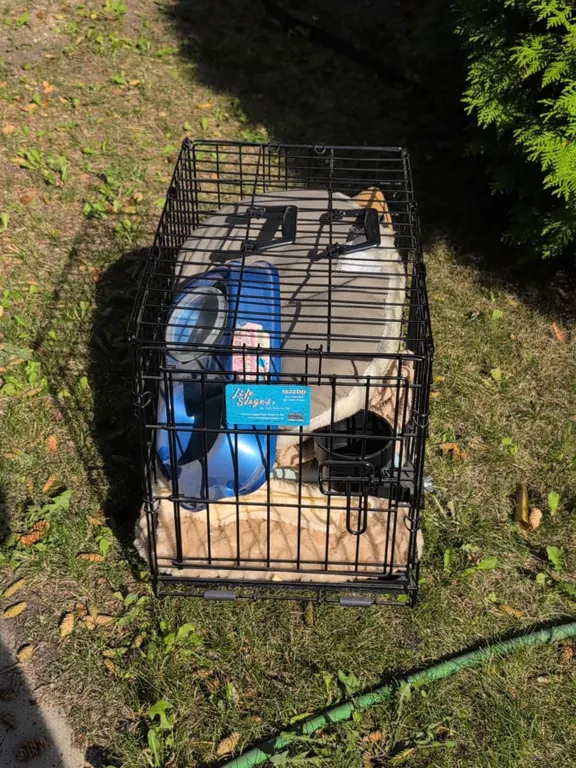 Pet Items With Metal Wire Dog Crate