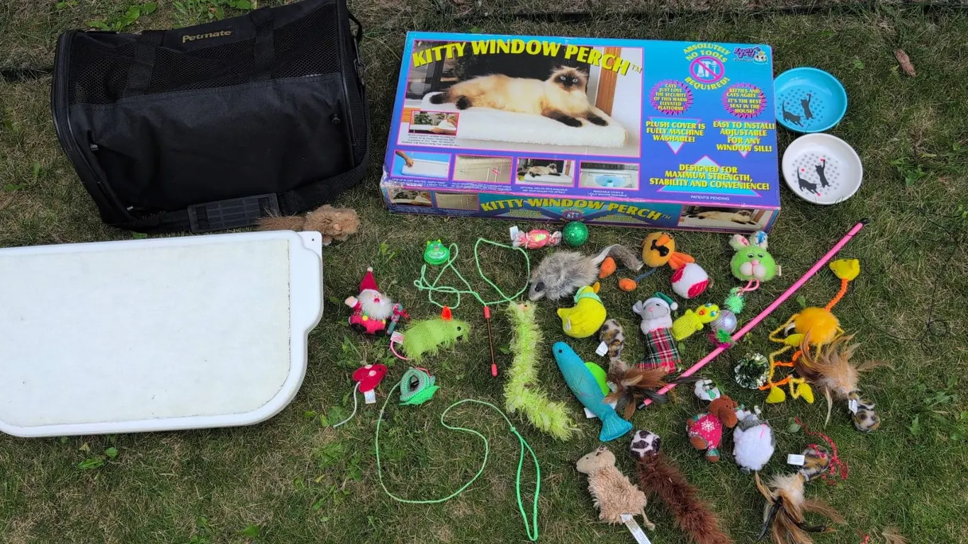 Cat Accessory Lot With Window Perch, Petmate Carrier, Toys and Bowls