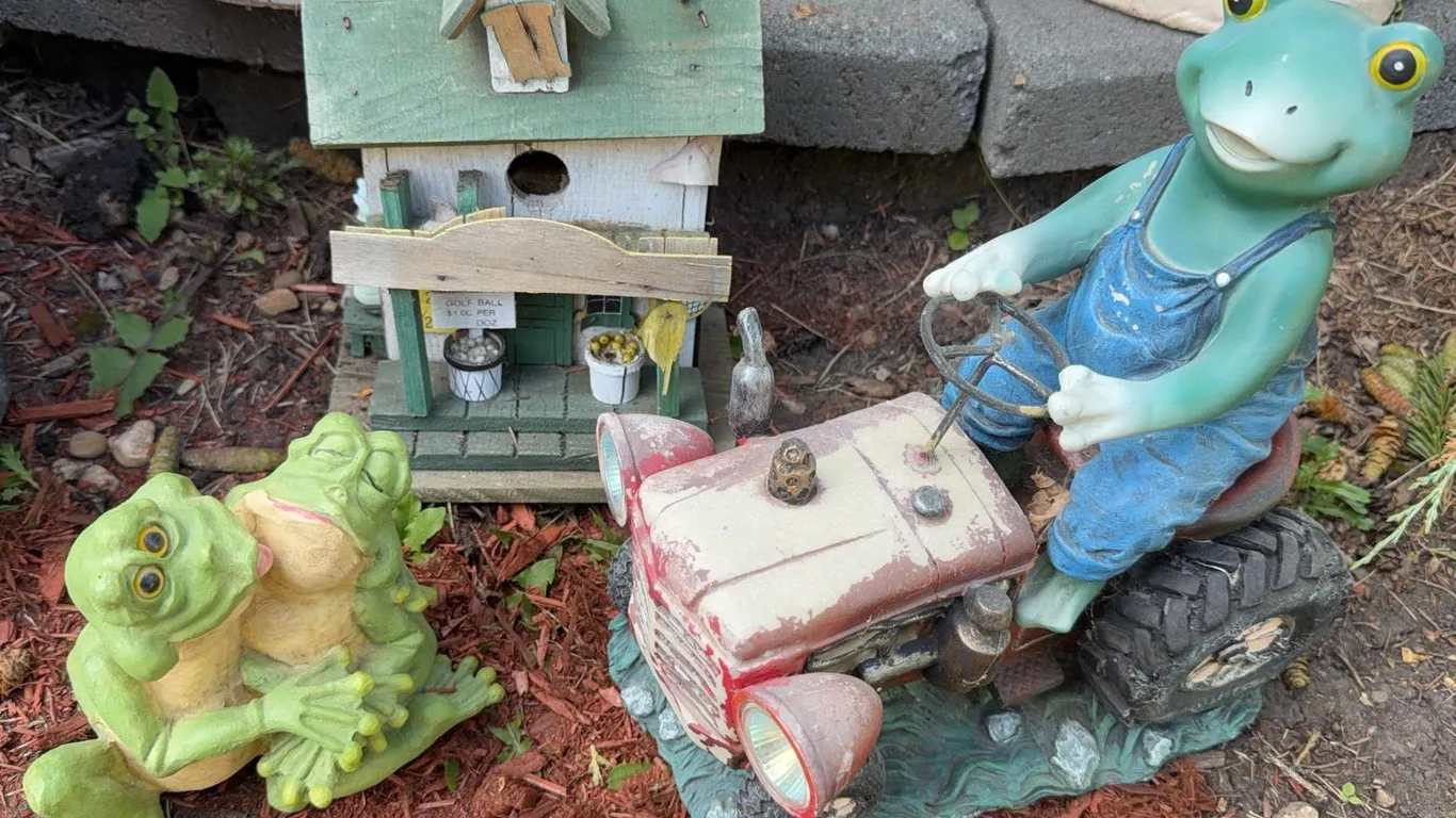Garden Decor Ornaments with Frog Figures and Birdhouse
