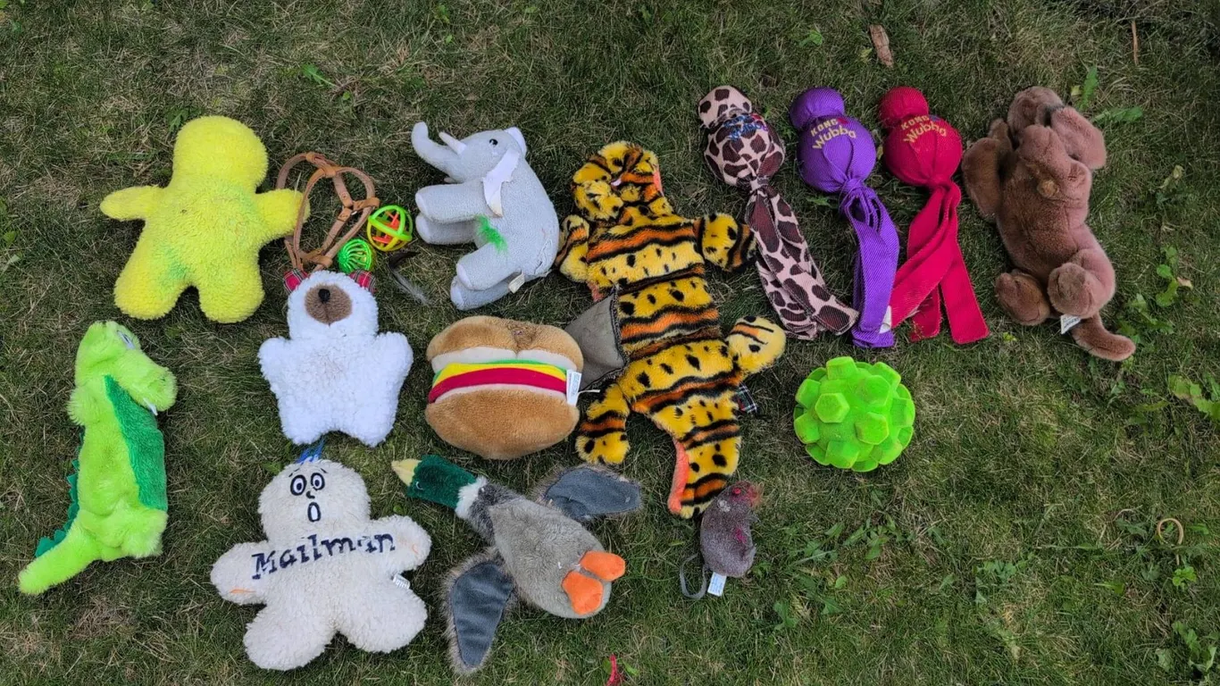 Plush and Rope Dog Toys Lot