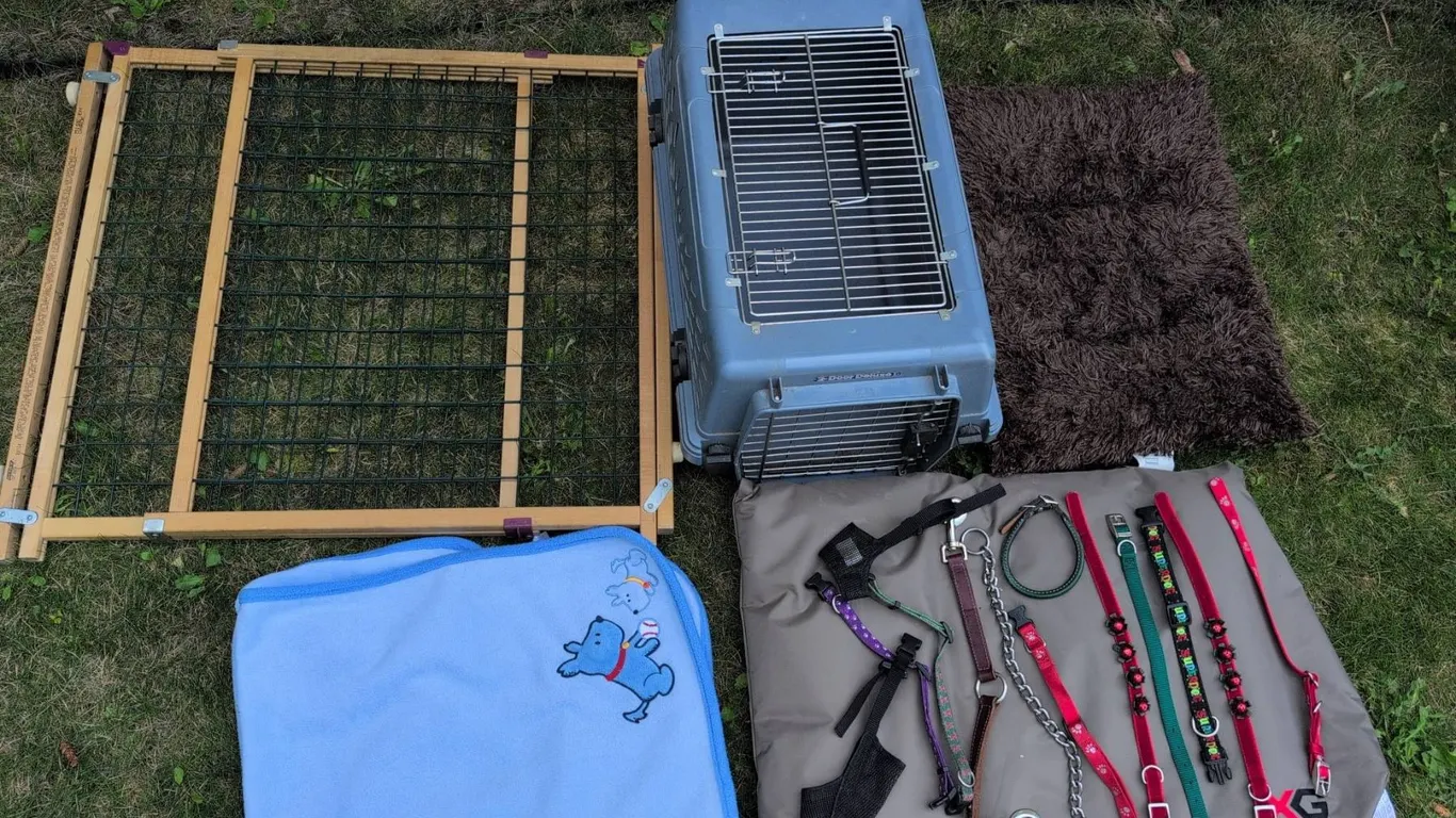 Pet Carrier, Gate, Blanket, Leashes, Collars, and Mats Lot