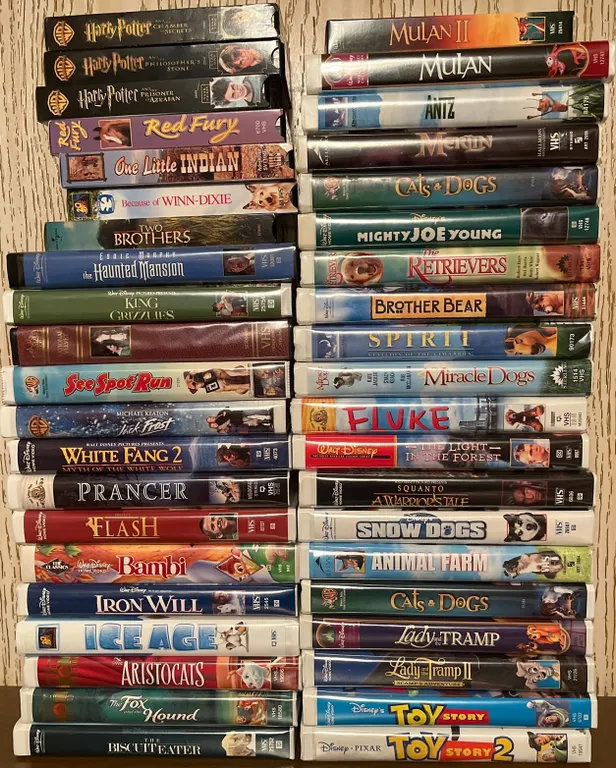 VHS Family Movies Including Disney and Warner Bros.