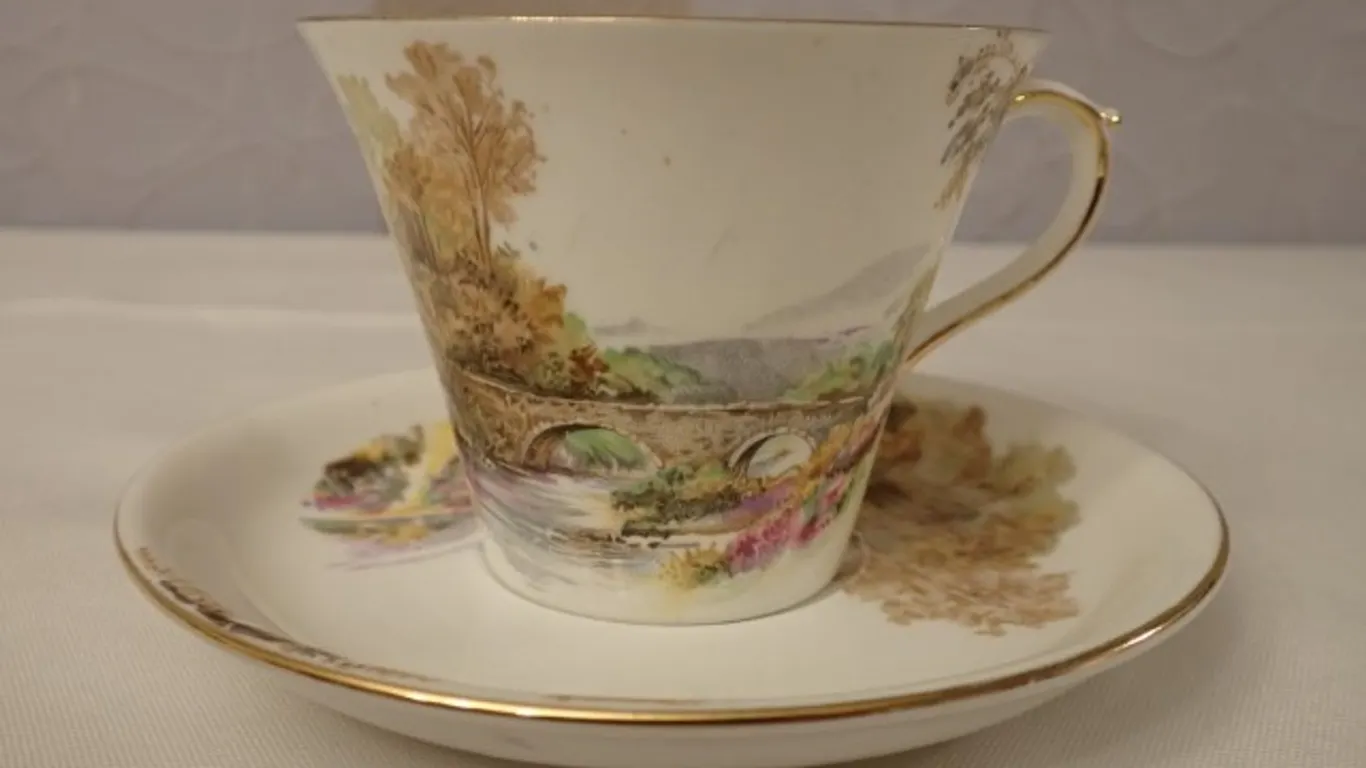 Shelley Teacup & Saucer