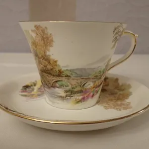 Shelley Teacup & Saucer