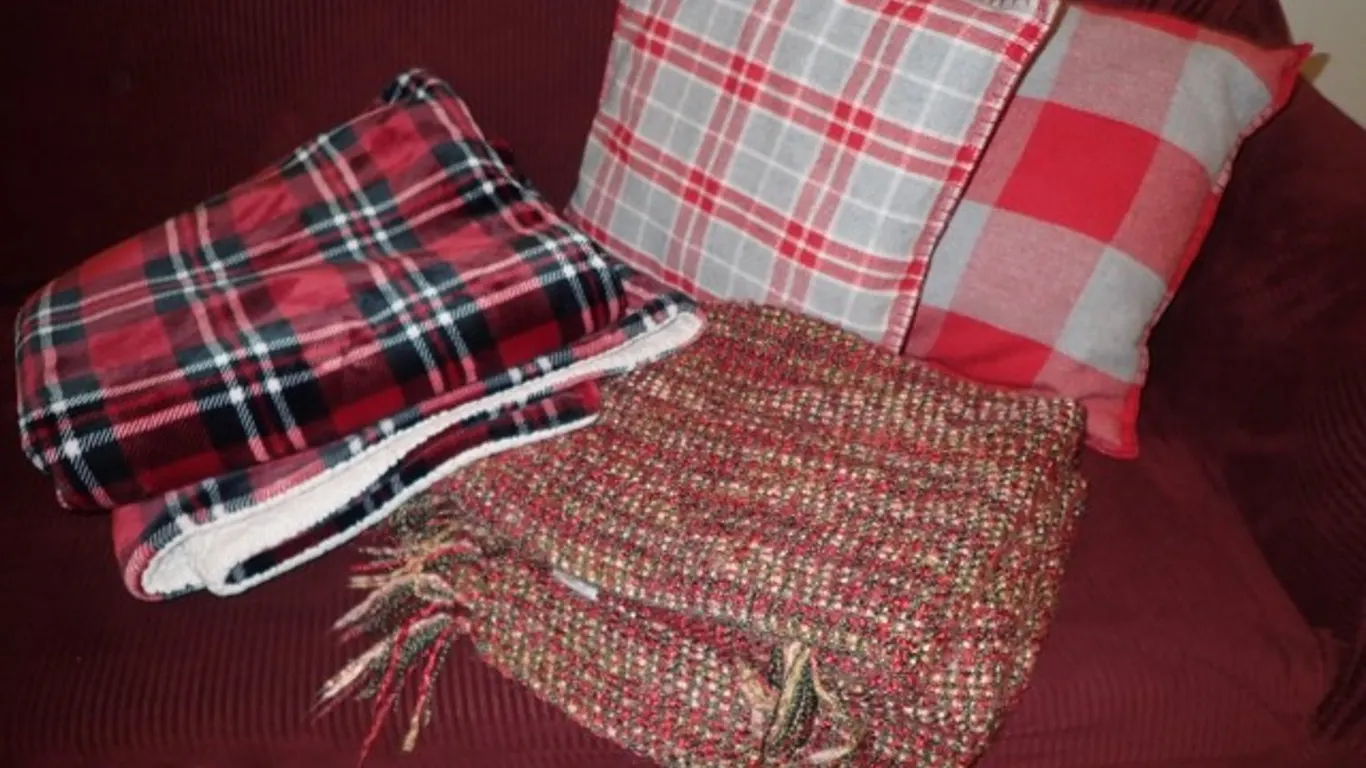 2 Pillows and 2 Plush Throws