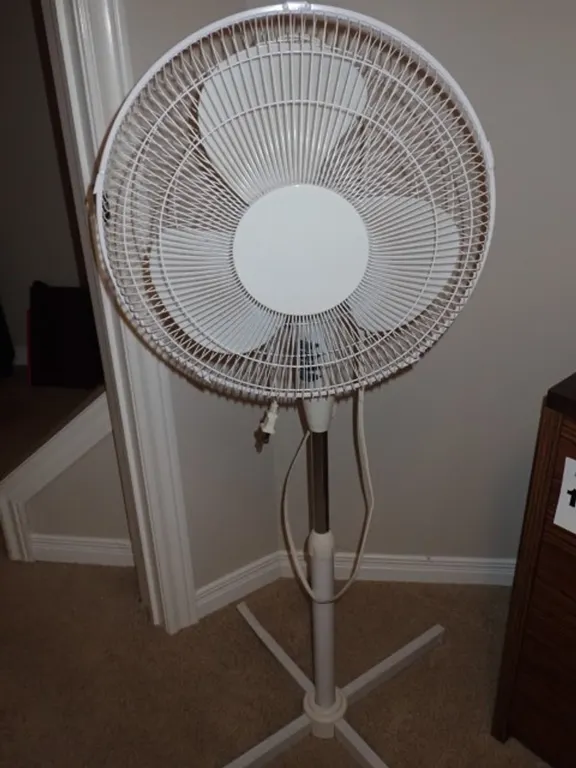 Home EASY 3 Speed Fan