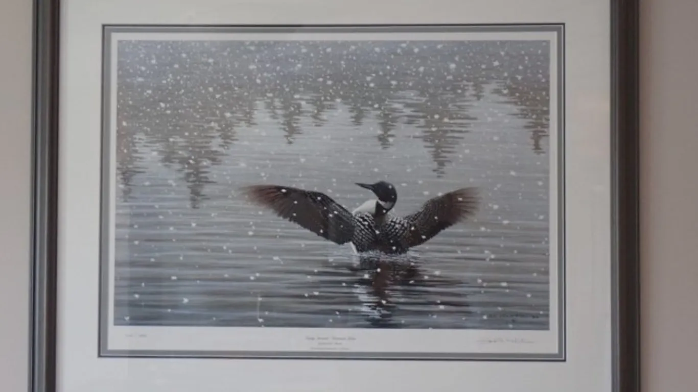 Framed Signed, Limited Edition Print