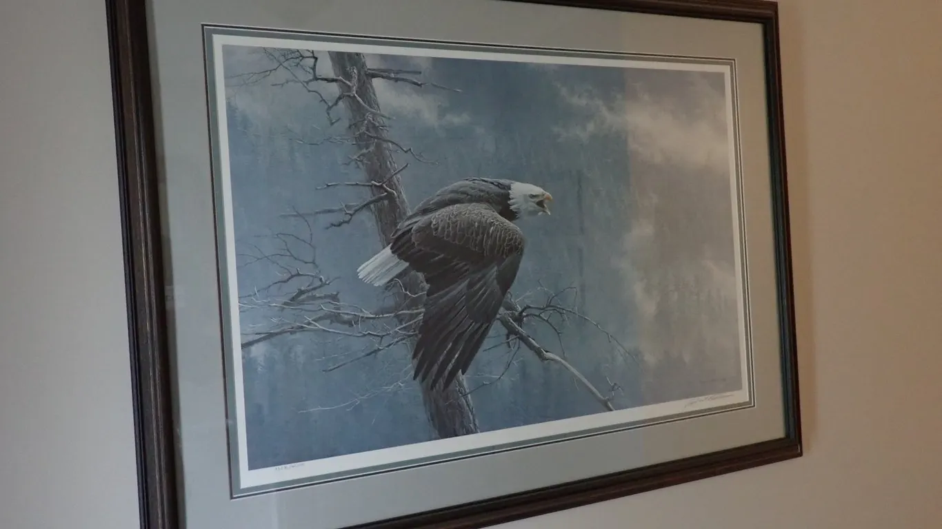 Framed Robert Bateman