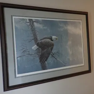 Framed Robert Bateman