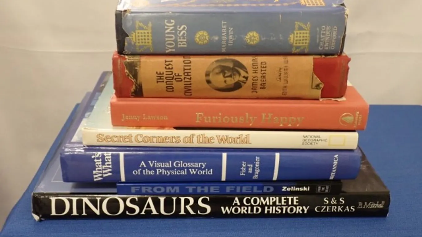 Diverse Collection of Books
