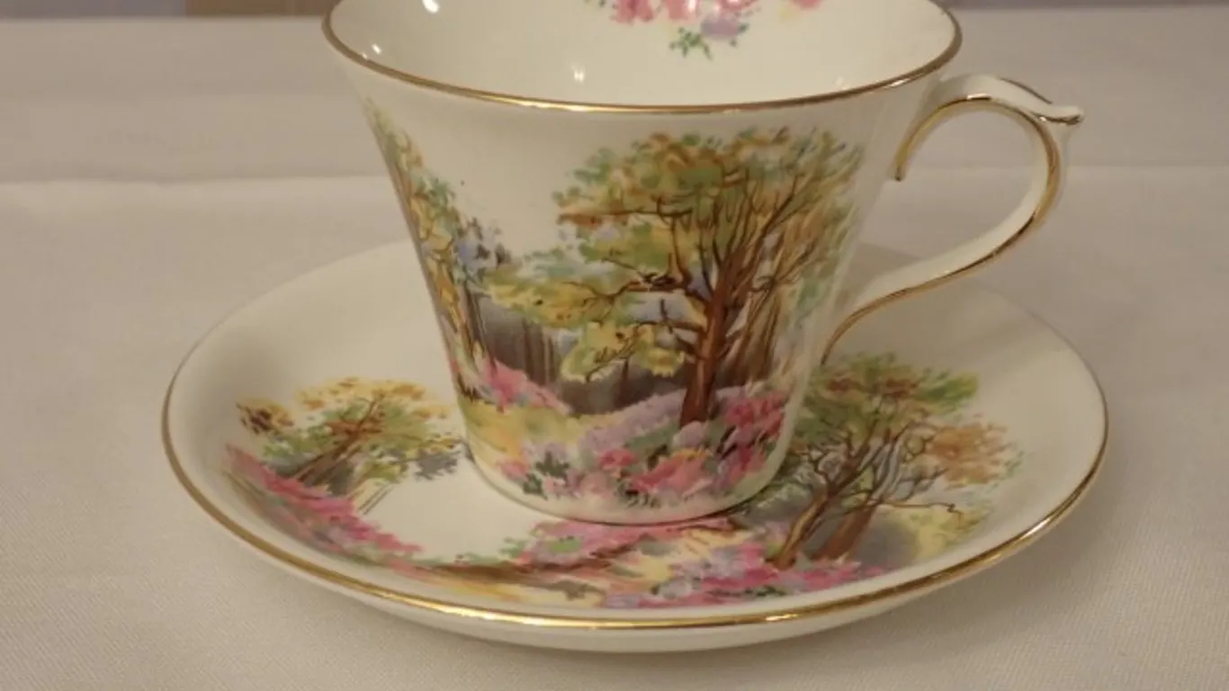 Shelley Teacup & Saucer