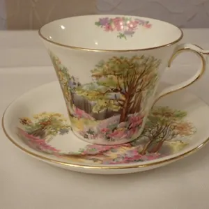Shelley Teacup & Saucer
