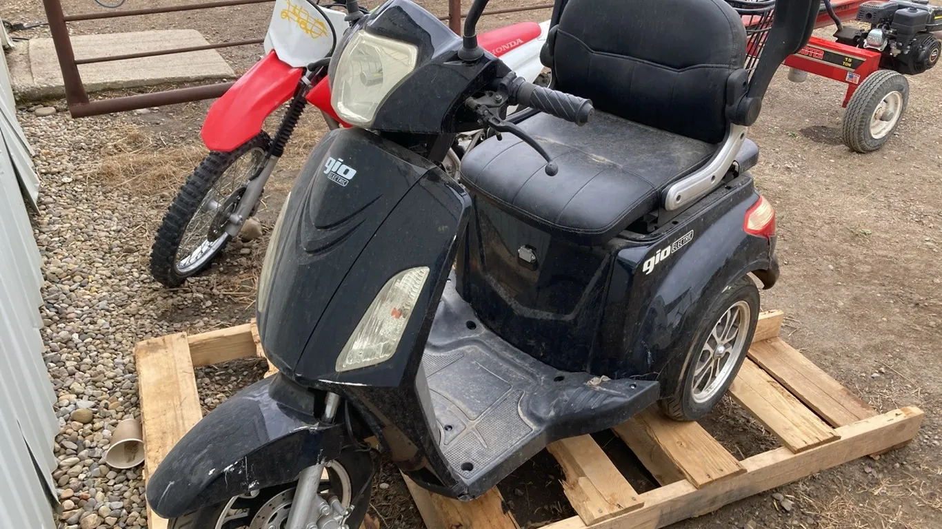Geo Electric Scooter