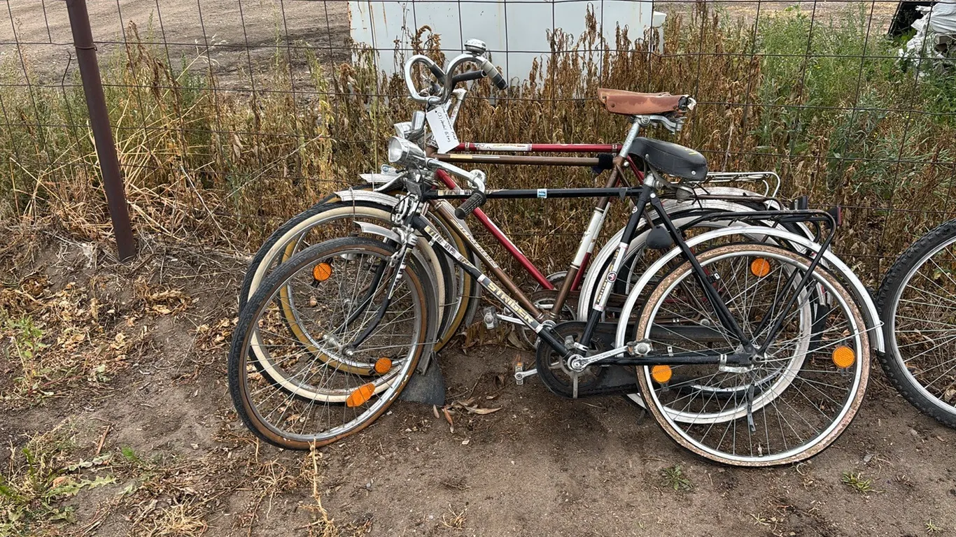 (3) Pedal Bikes