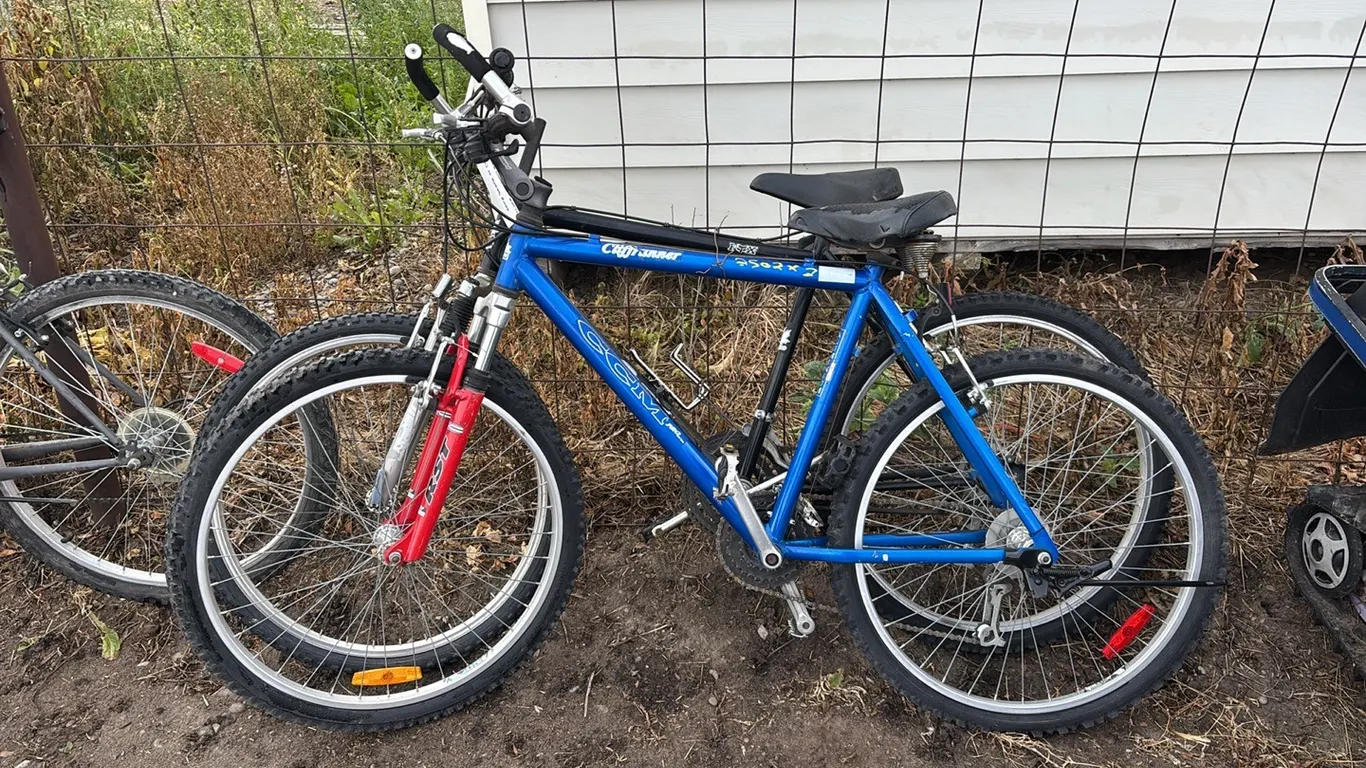 (2) 10 Speed Bikes