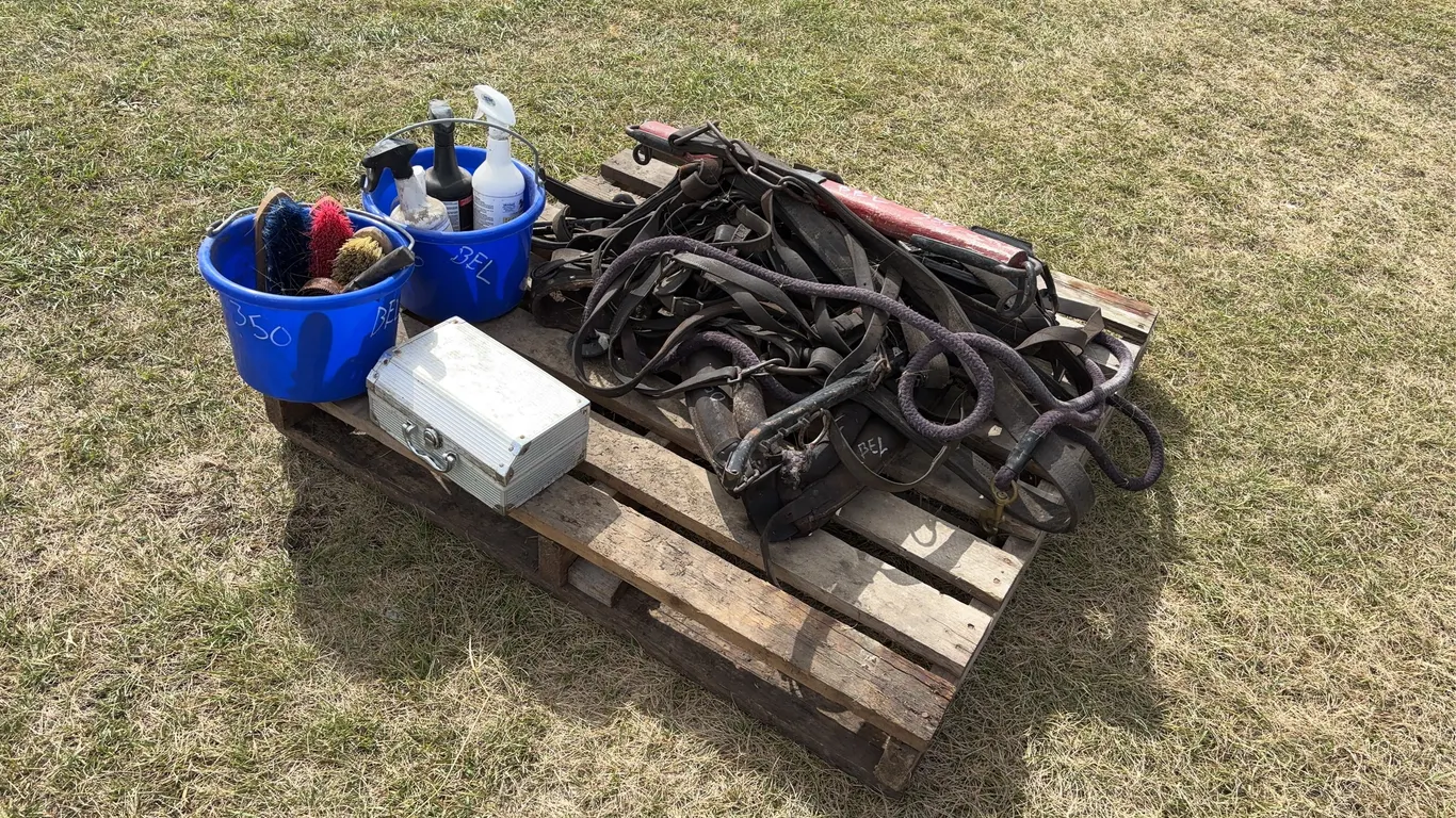 Harness for horse drawn carriage w/ bucket of equine grooming supplies, *Unreserved*