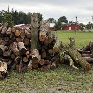 Ash Wood Pile