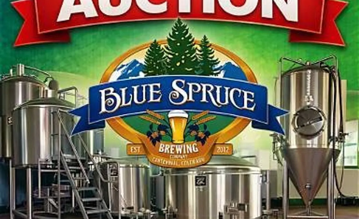 AUCTION INFORMATION-DO NOT BID ON THIS LINE