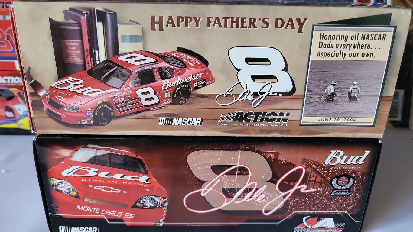 LOT OF (2) 1:24 SCALE DALE JR STOCK CARS