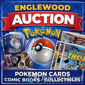 AUCTION INFORMATION/PLEASE DO NOT BID ON THIS LINE