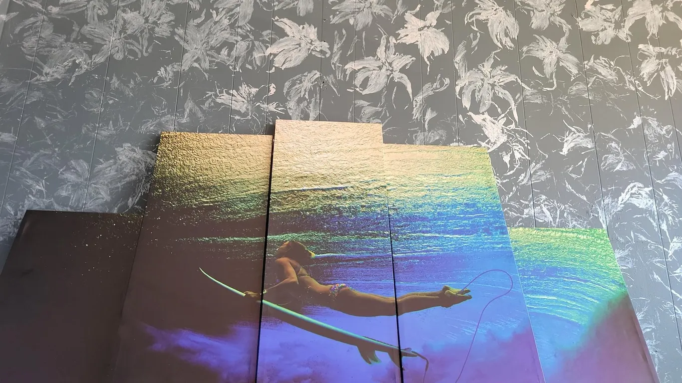 (5) PIECE SURFING PICTURE