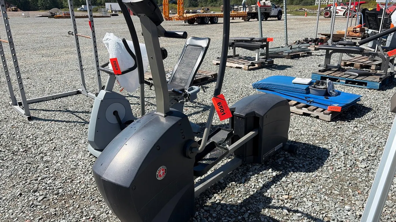 Schwinn 400P Elliptical