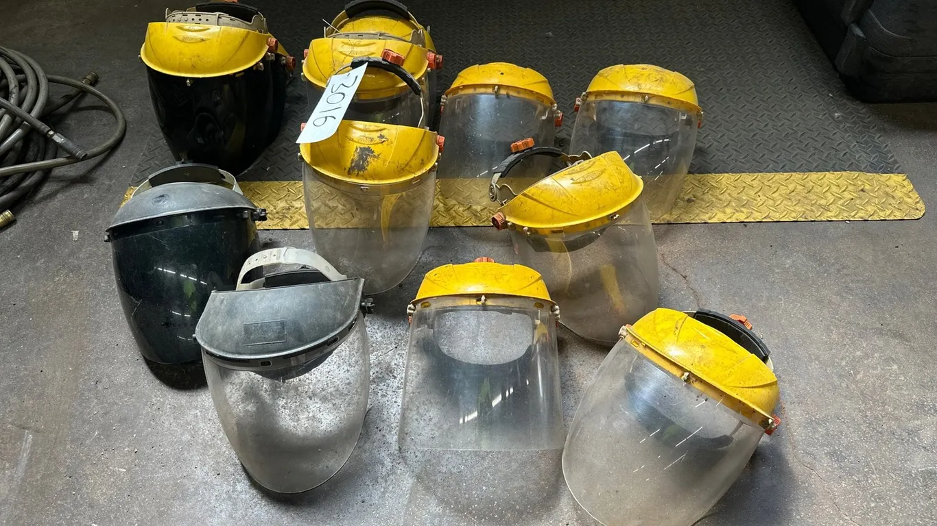 (12) Clear Safety Masks