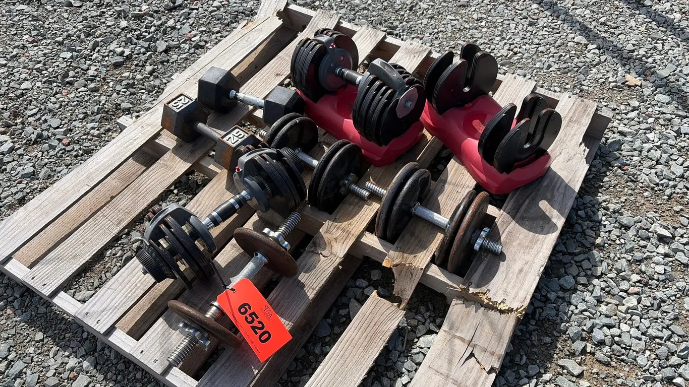 (7) Dumbbells