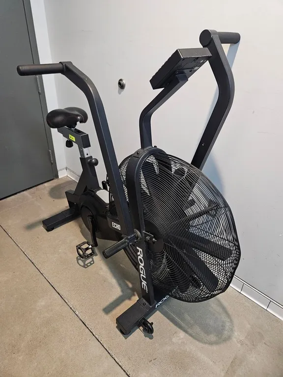 Rogue Echo Bike