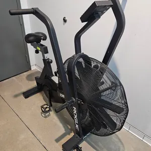 Rogue Echo Bike