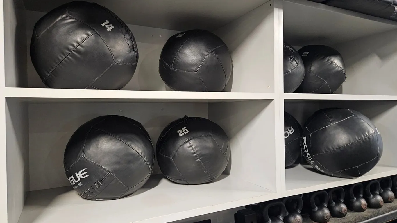 20 Rogue Medicine Balls, 6 - 10 lb., 6 - 14 lb., 4 - 20 lb., 4 - 25 lb.