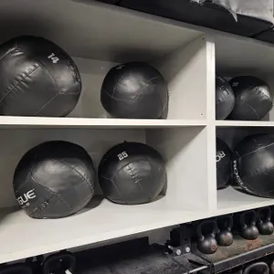 20 Rogue Medicine Balls, 6 - 10 lb., 6 - 14 lb., 4 - 20 lb., 4 - 25 lb.
