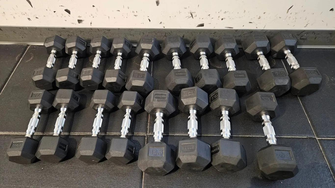 10 Rogue 20 lb. Dumbbells