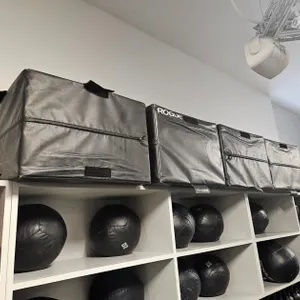 12 Rogue Step Platforms, 4 - 6", 4 - 12" and 4 - 20"