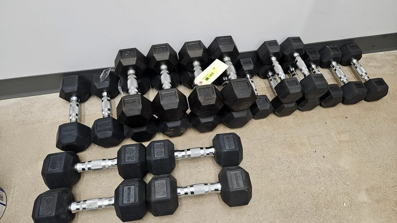 22 Rogue Dumbbells (like new), 4 - 20 lb., 2 - 15 lb., 8 - 12.5 lb., 8 - 7.5 lb.