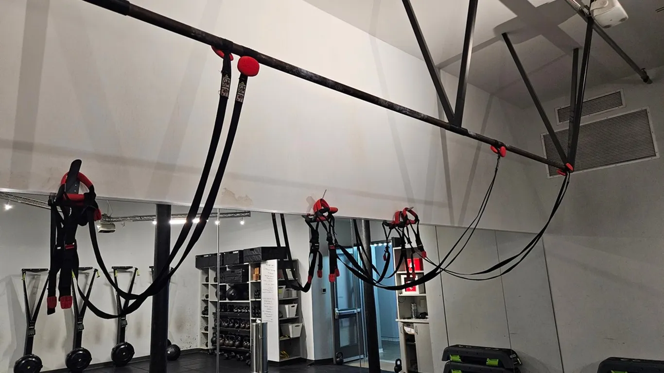 8 Lifeline Jungle Gym XT Straps
