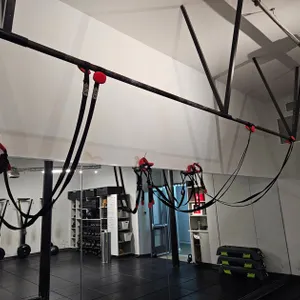 8 Lifeline Jungle Gym XT Straps