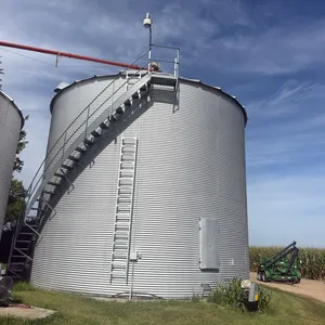 GSI Grain Bin, 30’ Approx 14,000 Bu, Side Stairs, Full Floor, Unloading Auger, Top North Cross Auger Goes with This Bin,  Seller to Disconnect Power t